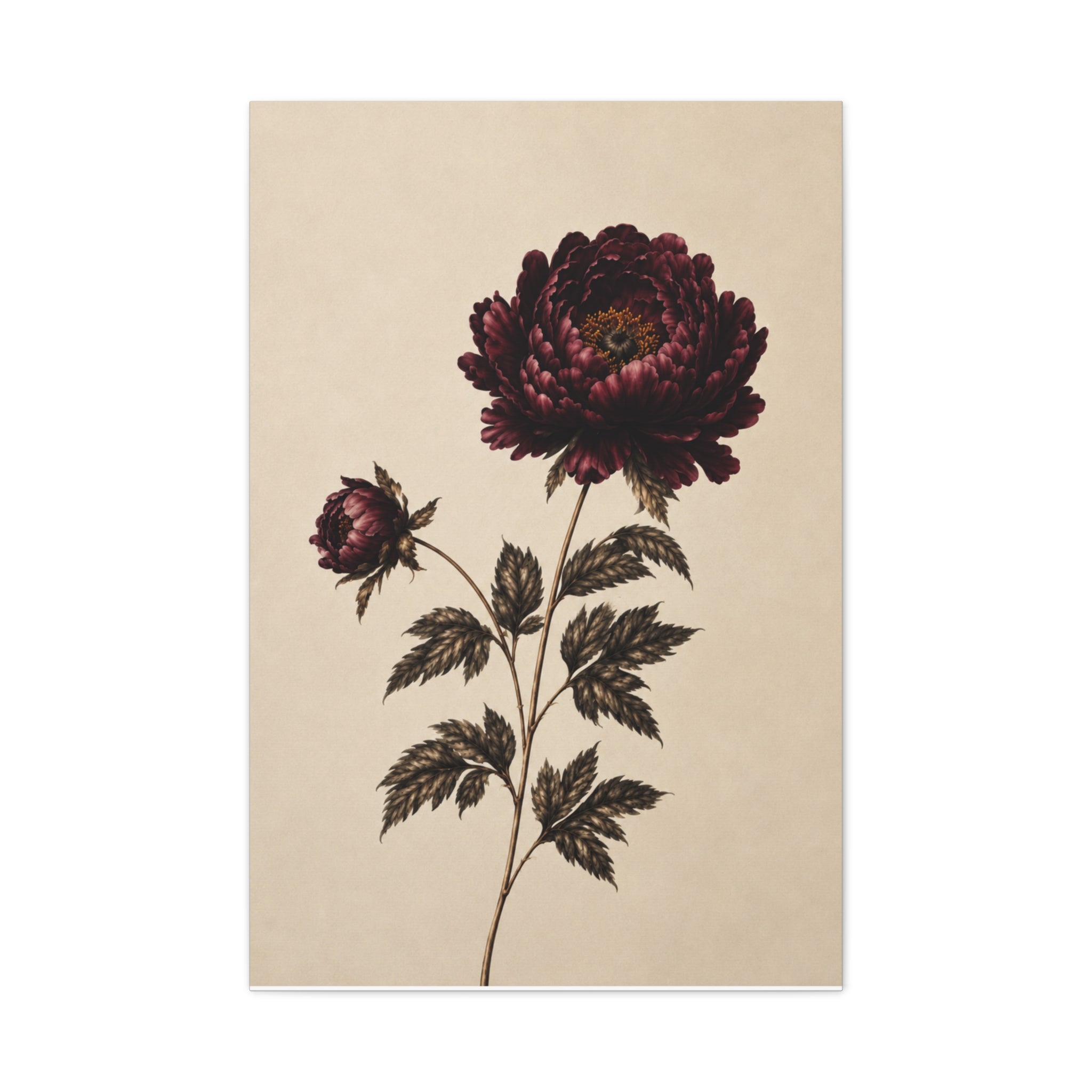 Vintage Botanical Canvas Print, Burgundy Chrysanthemum Wall Art, Dark Academia Floral Decor, Moody Antique Flower Art, Solen