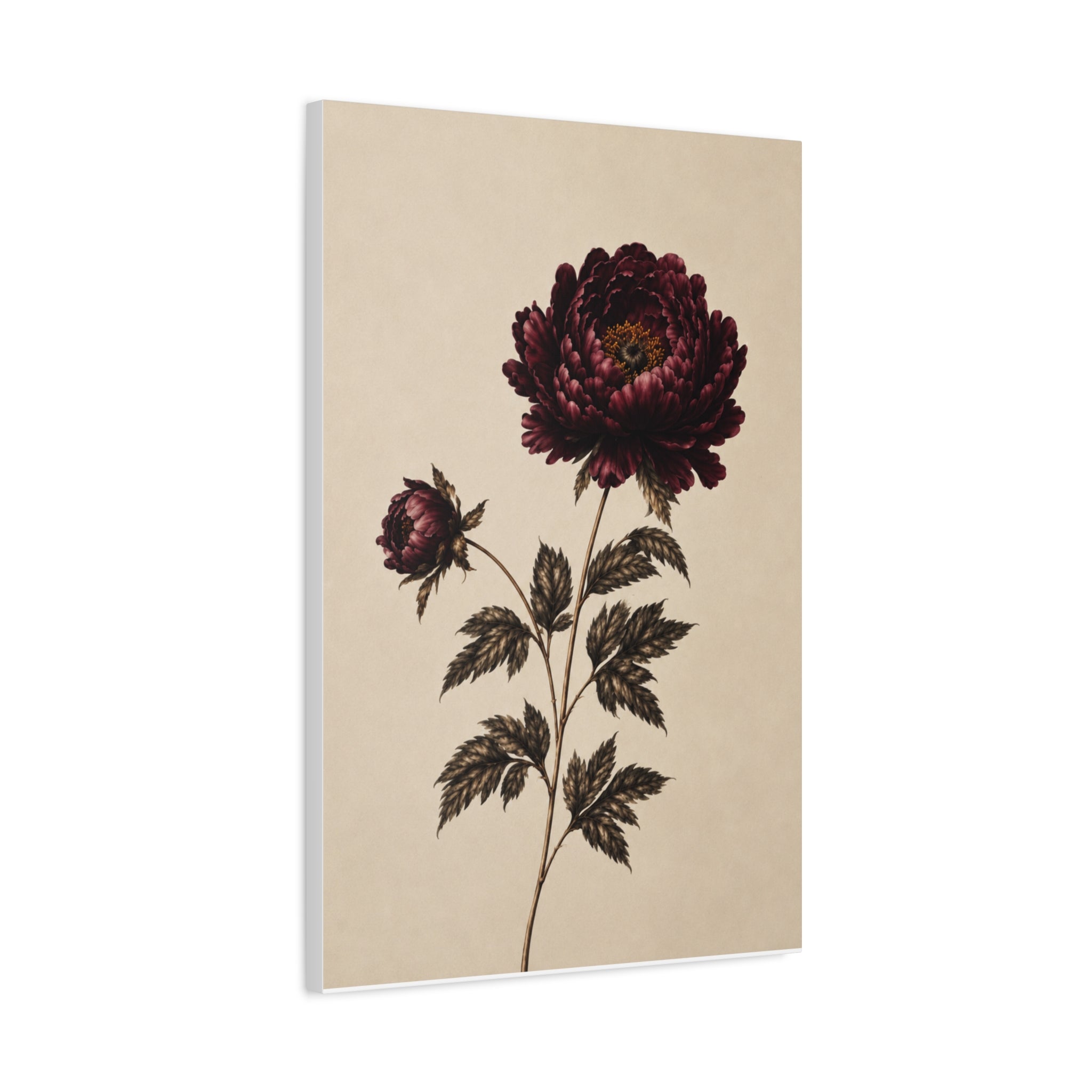 Vintage Botanical Canvas Print, Burgundy Chrysanthemum Wall Art, Dark Academia Floral Decor, Moody Antique Flower Art, Solen