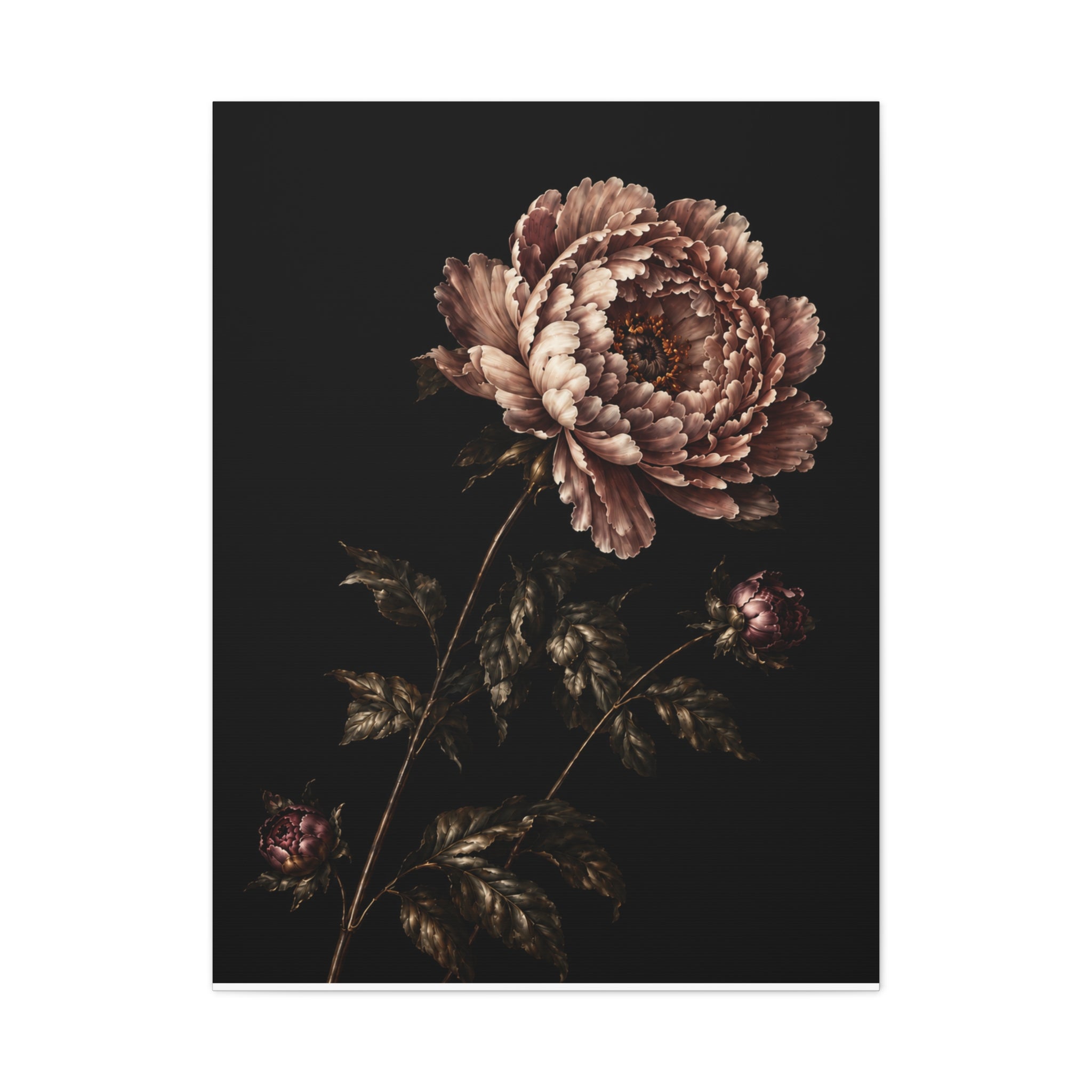 Blush Peony Canvas Wall Art, Velvet Botanical Print on Black, Romantic Floral Painting, Elegant Peony Wall Decor, Solen