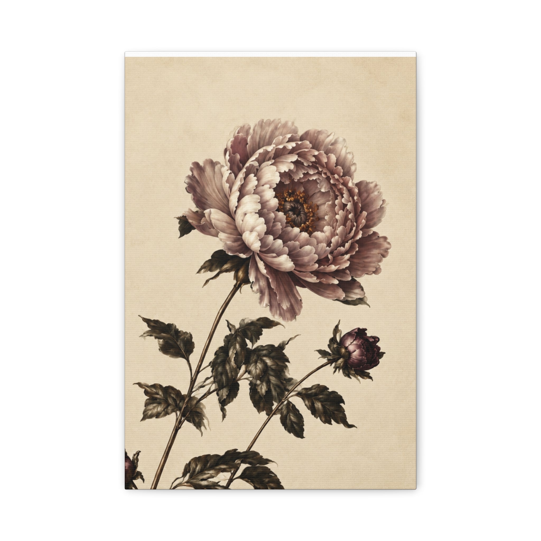 Vintage Pink Peony Canvas Print, Soft Pastel Botanical Wall Art, Single Flower Stem Art, Romantic Floral Decor, Solen
