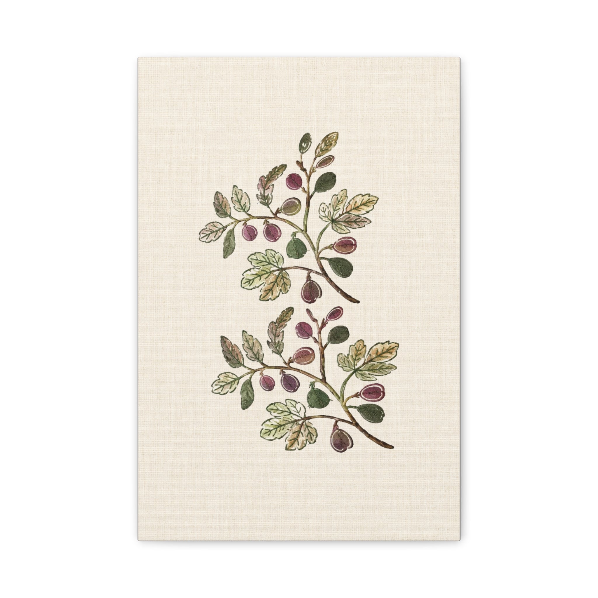Fig Branch Botanical Print, Vintage Fig Tree Wall Art Canvas, Antique Botanical Illustration, Kitchen Wall Decor, Solen