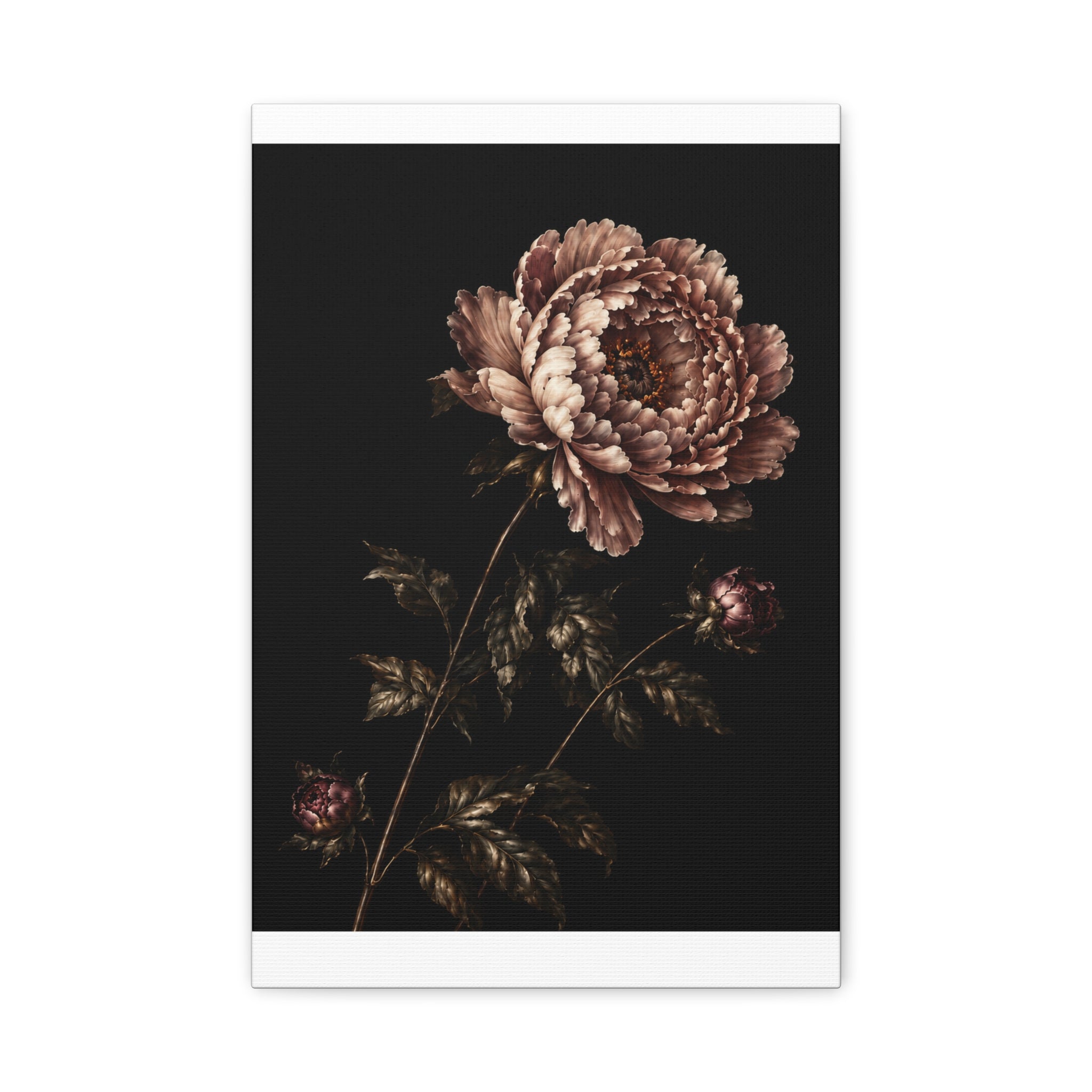 Blush Peony Canvas Wall Art, Velvet Botanical Print on Black, Romantic Floral Painting, Elegant Peony Wall Decor, Solen