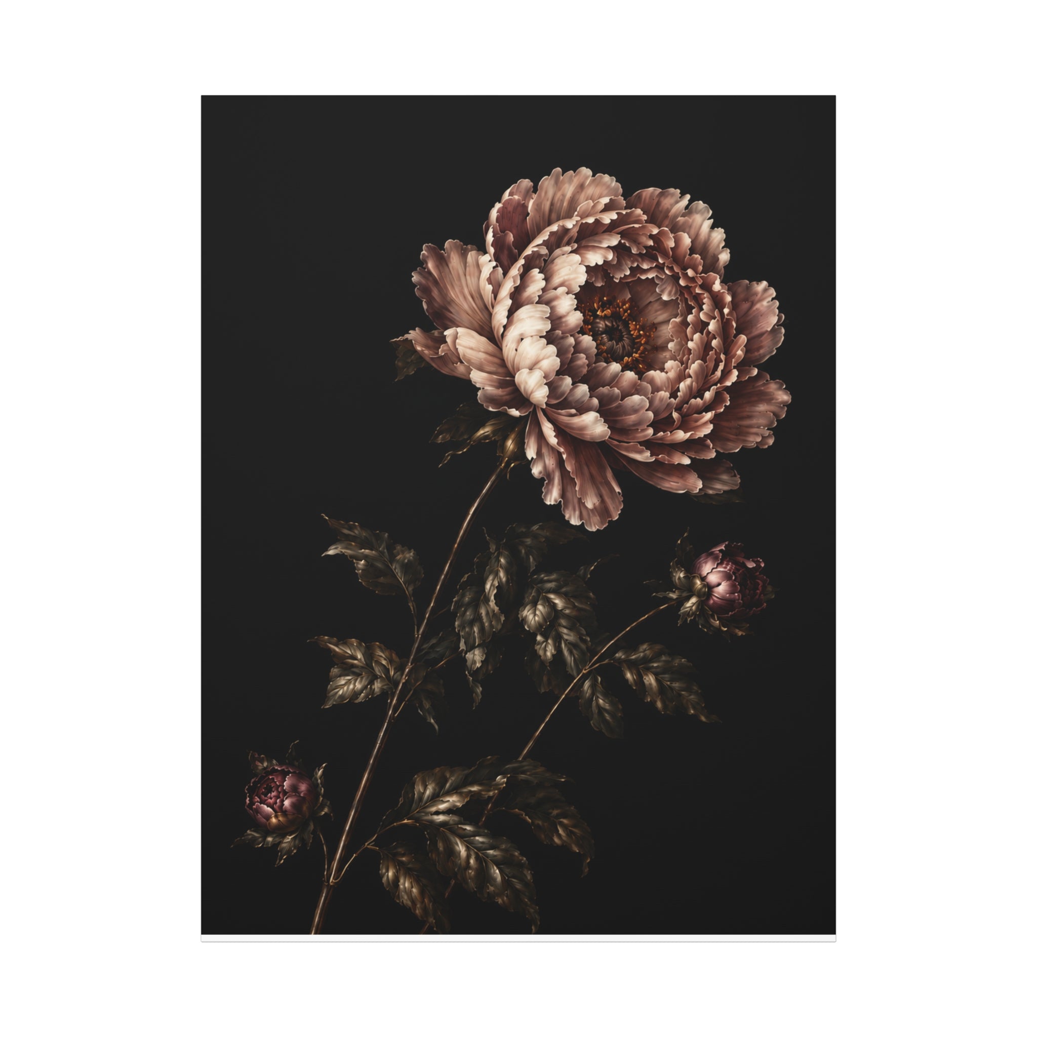 Blush Peony Canvas Wall Art, Velvet Botanical Print on Black, Romantic Floral Painting, Elegant Peony Wall Decor, Solen