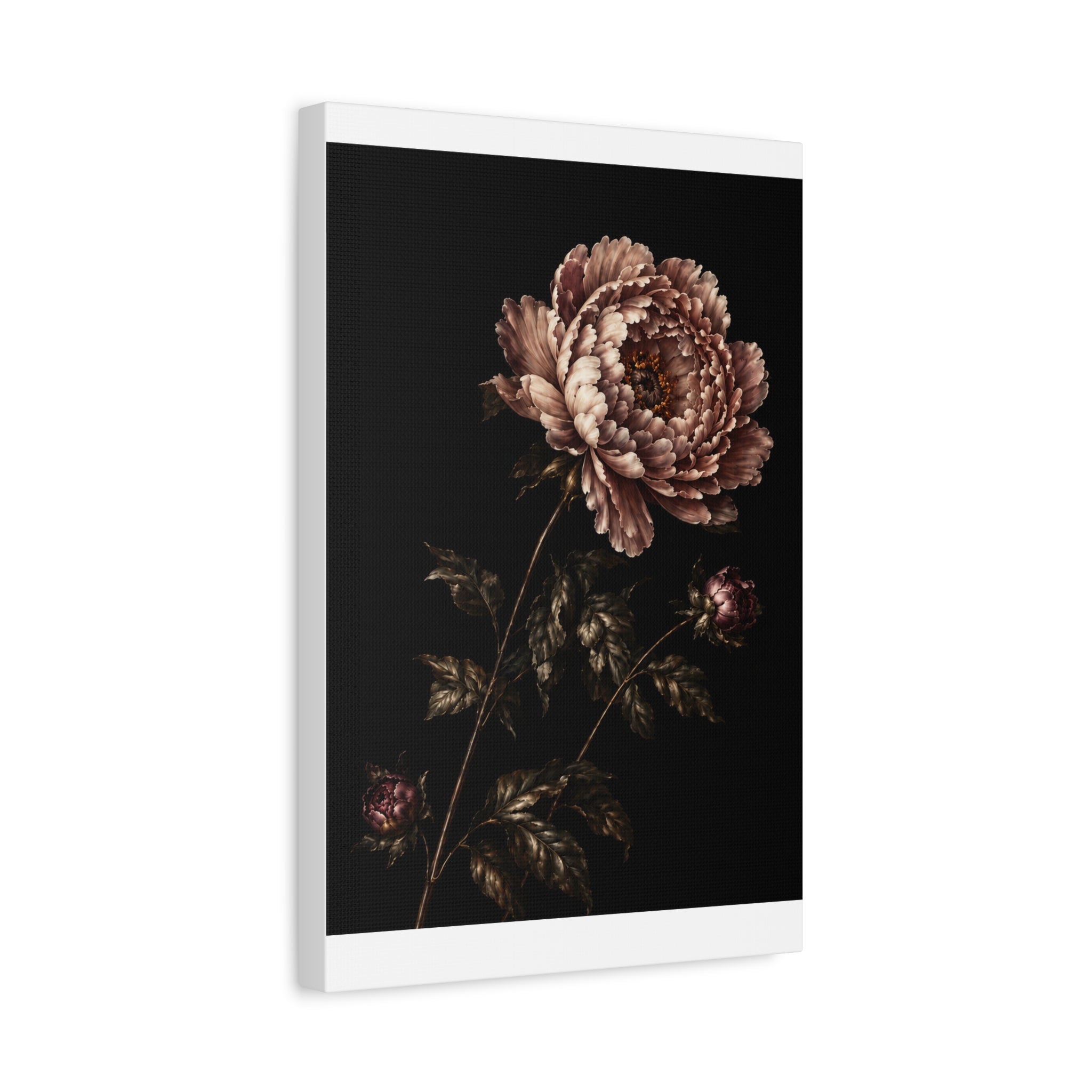 Blush Peony Canvas Wall Art, Velvet Botanical Print on Black, Romantic Floral Painting, Elegant Peony Wall Decor, Solen