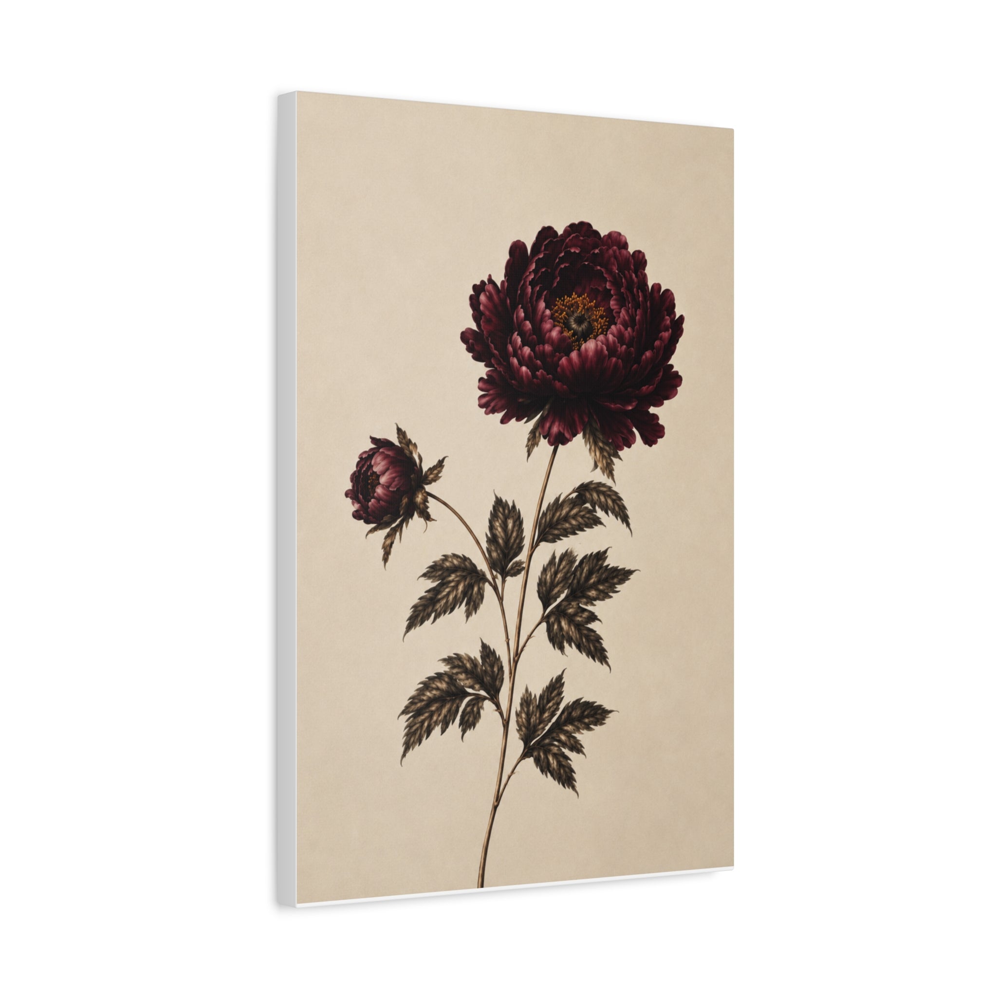Vintage Botanical Canvas Print, Burgundy Chrysanthemum Wall Art, Dark Academia Floral Decor, Moody Antique Flower Art, Solen
