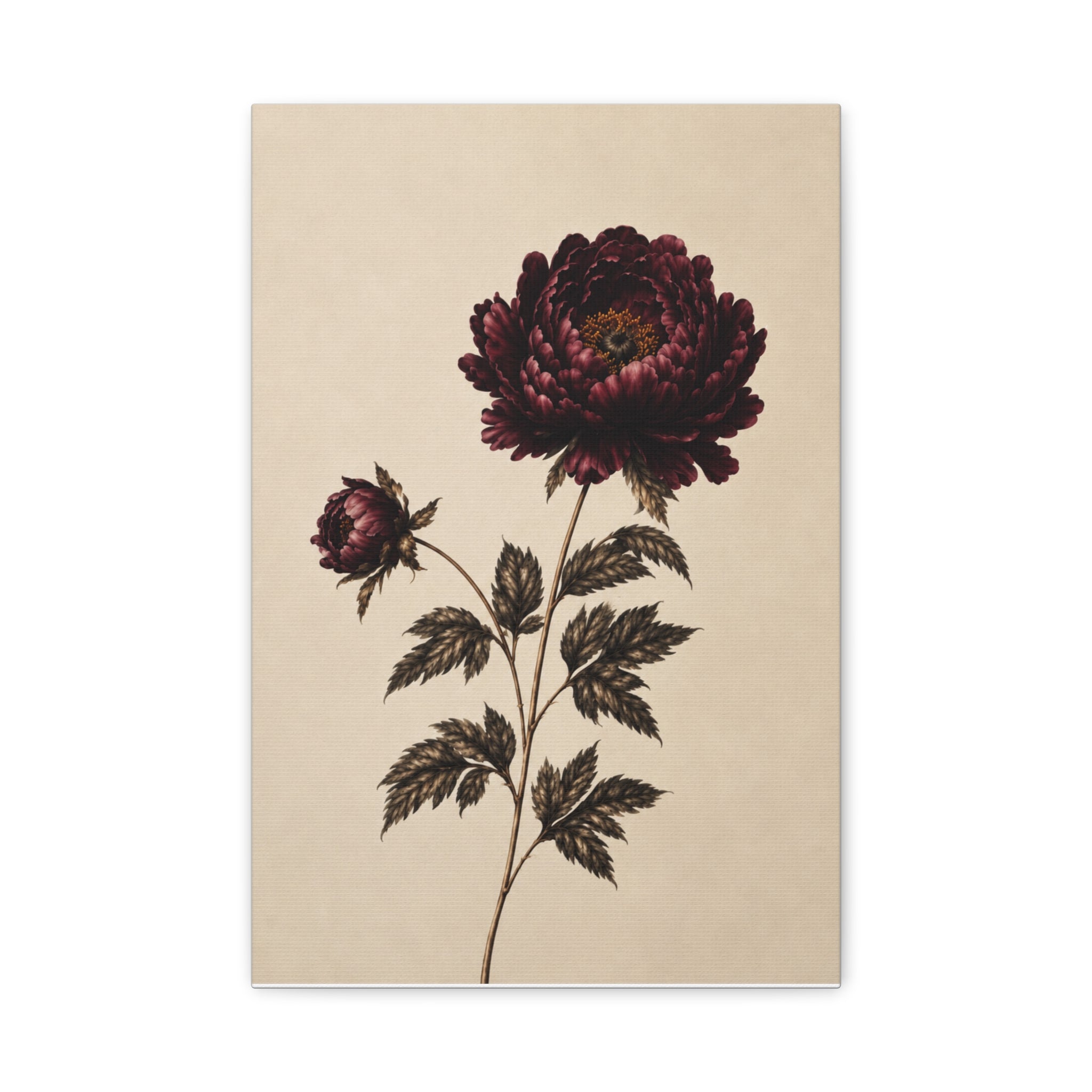 Vintage Botanical Canvas Print, Burgundy Chrysanthemum Wall Art, Dark Academia Floral Decor, Moody Antique Flower Art, Solen