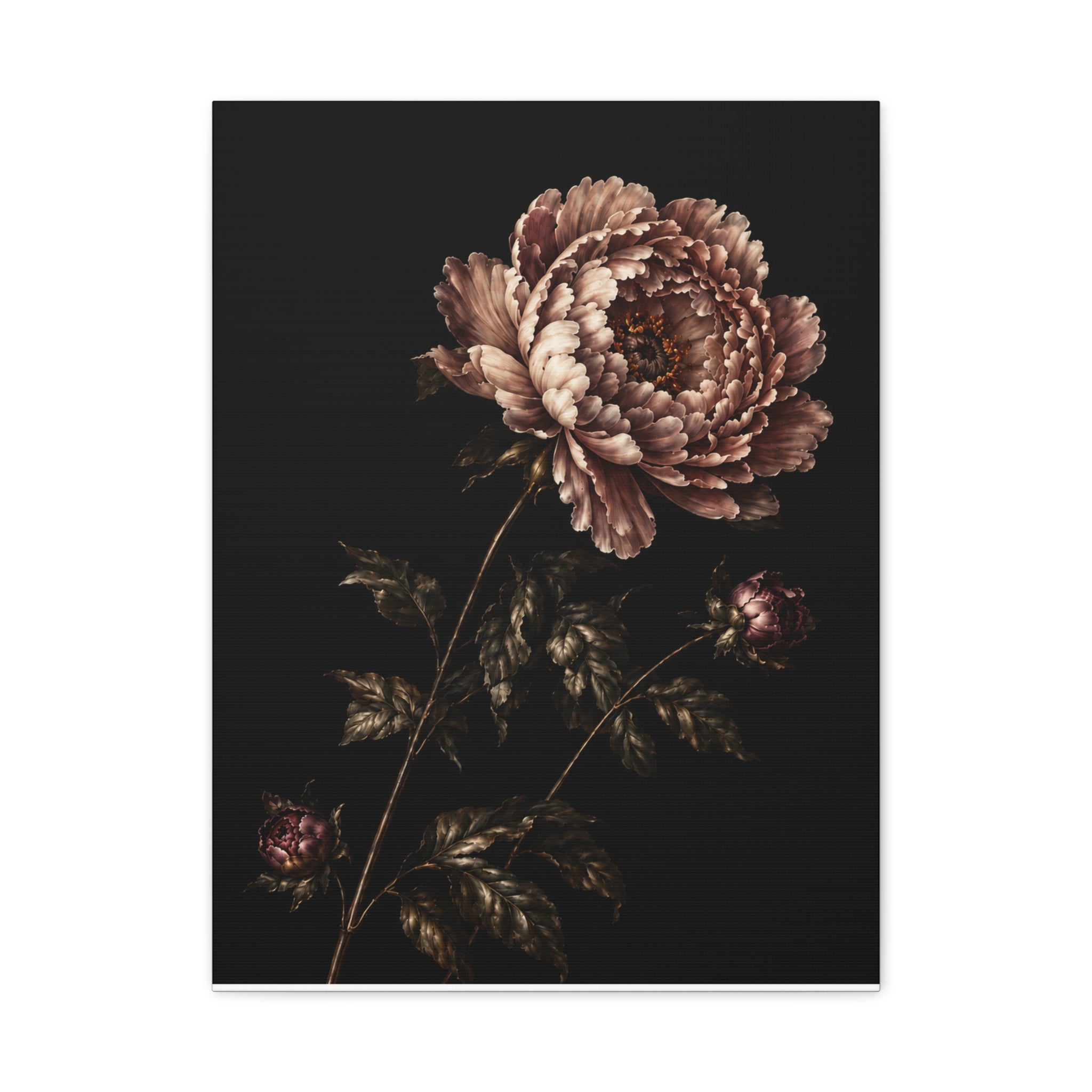 Blush Peony Canvas Wall Art, Velvet Botanical Print on Black, Romantic Floral Painting, Elegant Peony Wall Decor, Solen